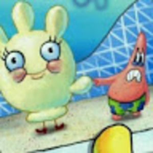 Meet your Posher, Steve